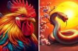 3 Shbet888.com nhà cái uy tín đuổi nghèo đón giàu, nhà xe có đủ từ 11/7 đến 30/7