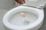 Vì sao bạn nên thả 1 tép tỏi vào bồn cầu?