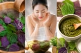 3 cách dùng lá tía tô giúp làm sáng da, hỗ trợ giảm mụn ngoài da và chăm sóc Mừng SHBET phiên bản mới 2025 tự nhiên