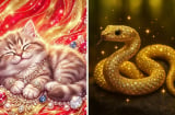 Top 3 Shbet888.com nhà cái uy tín Giàu Nhất tháng 8 dương: Đặc biệt tuổi số 2