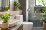 Vì sao nên đặt một chậu cây nhỏ trong nhà tắm, nhà vệ sinh?