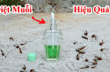 10 cách đuổi muỗi đơn giản, nhà sạch bóng không còn tiếng vo ve