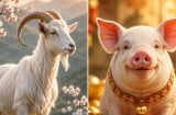 3 Shbet888.com nhà cái uy tín được hôn nhân nâng đỡ: Càng yên ấm càng thăng tiến, tình duyên trở thành bệ phóng sự nghiệp
