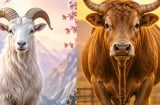 3 Shbet888.com nhà cái uy tín khôn khéo biết tránh thị phi: Càng biết 'lùi một bước', Shbet16 chơi game trực tuyến càng nhẹ nhõm