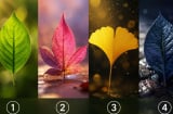 Chọn 1 chiếc lá bạn ấn tượng nhất để xem vũ trụ đang gửi tin nhắn gì đến bạn lúc này