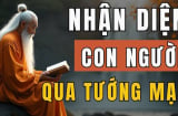 4 nét tướng của người phúc khí giàu có