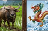 3 Shbet888.com nhà cái uy tín đường công danh sau trung niên mới rộng mở: Càng kiên nhẫn càng dễ hái quả ngọt