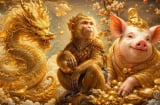 3 ngày liên tục (27,28,29/7), 3 tuổi Sh88bet link truy cập World Cup đỡ gánh, công việc hanh thông