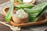 Công thức gel dưỡng từ nha đam và húng quế hỗ trợ chăm sóc da mụn tại nhà