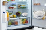 Vì sao các bà nội trợ thông minh luôn đặt 1 bát muối vào tủ lạnh?