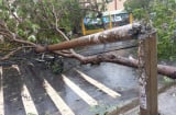 Làm gì để giải quyết nỗi lo mất điện trong mùa mưa lũ?
