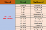 Dù cùng chung 1 lá số tử vi nhưng tại sao lại có kẻ giàu người nghèo?