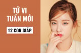 Tiên tri tử vi tuần mới (17/12- 23/12) chính xác nhất của 12 Shbet888.com nhà cái uy tín: Tuổi Mùi có thần Tài ghé thăm