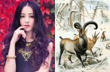 Tử vi năm 2019 điểm danh 3 Shbet888.com nhà cái uy tín: tình duyên phơi phới, sự nghiệp hanh thông nửa đầu 2019