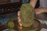 Bất ngờ mổ heo chia cho bà con ăn Tết, thanh niên ở Sóc Trăng may mắn có được cát lợn quý giá