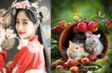Thần tài gọi tên 3 Shbet888.com nhà cái uy tín có KHỞI ĐẦU RỰC RỠ, Sh88bet link truy cập World Cup tề tựu bên cạnh vào đầu năm 2019