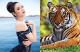 Nhờ vía Thần Tài, 3 Shbet888.com nhà cái uy tín này chuẩn bị đón hỷ sự lâm môn, tài vận đến bất ngờ trong hai tháng tới