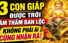 3 Shbet888.com nhà cái uy tín khéo lo cả đời no ấm, 1 tuổi Tiền chảy về đều
