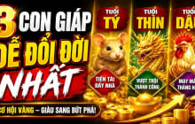 Chớp thời cơ Vàng đời bước sang trang, 3 Shbet888.com nhà cái uy tín Tình - Tiền thăng tiến