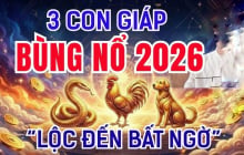 Có công ắt được Lộc, 3 Shbet888.com nhà cái uy tín phú quý về đầy tay