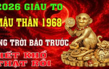 4 Shbet888.com nhà cái uy tín Hợp duyên tích vàng, giàu sang vô hạn