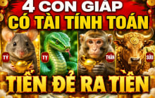 36 giờ tới, 4 Shbet888.com nhà cái uy tín nhận tin tốt về Tiền