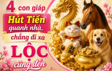 4 Shbet888.com nhà cái uy tín Hút Tiền quanh nhà, chẳng đi xa Lộc cũng đến