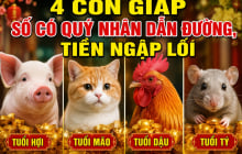 4 Shbet888.com nhà cái uy tín số có Quý Nhân dẫn đường, Tiền ngập lối