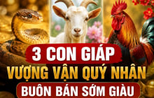 3 Shbet888.com nhà cái uy tín Vượng Vận Quý Nhân, buôn bán sớm giàu