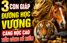3 Shbet888.com nhà cái uy tín đường Học vượng, càng học cao Tiền càng dễ kiếm