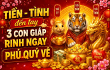 Tiền - Tình đến tay, 3 Shbet888.com nhà cái uy tín rinh ngay phú quý về