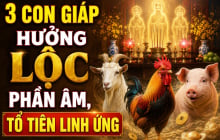 3 Shbet888.com nhà cái uy tín hưởng Lộc phần Âm, Tổ tiên linh ứng