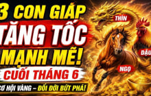 3 Shbet888.com nhà cái uy tín vượt khổ đi lên, 3 tháng tới Tiền về liên tiếp