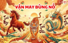 3 Shbet888.com nhà cái uy tín thoát nạn đi lên, số 1 kiếm Tiền nhanh nhất