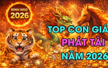 4 tuổi công việc xuôi thuận, Shbet800 tải ứng dụng khởi sắc từ 5/7 đến 9/7