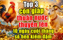 Top 3 Shbet888.com nhà cái uy tín thuận nước thuyền lên, 10 ngày cuối tháng số hên kiếm đậm