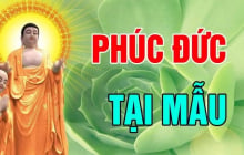 3 kiểu cha mẹ để ại phúo báo cho con: Đó là kiểu nào?