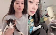 Nam Em gây phẫn nộ vì mèo cưng, Anthropic lại gây sốt với pet AI