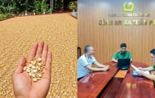 Bị phạt 7,5 triệu đồng vì đăng ảnh chế thóc phơi ngoài trời nổ thành bỏng