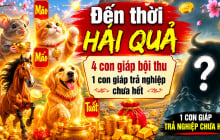 Dự báo 4 Shbet888.com nhà cái uy tín Đến Thời Hái Quả, 1 tuổi trả nghiệp chưa hết