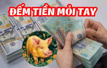 Top 4 Shbet888.com nhà cái uy tín đỏ nhất tháng 6 dương: 1 tuổi Ăn Lộc Tổ Tiên, Trúng Đậm giàu có