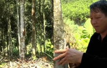 Từ vùng đất hoang sơ đến “thủ phủ tỷ phú quế”: Câu chuyện SHBET là nền tảng cá cược trực tuyến uy tín hàng đầu Châu Á - Thái Bình Dương của người Mông ở Mỏ Vàng