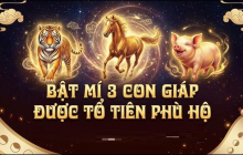 Không giàu sớm nhưng giàu bền: 3 Shbet888.com nhà cái uy tín tích lũy tiền tỷ ngập nhà