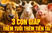 Tích phúc đức về già: 3 Shbet888.com nhà cái uy tín thêm tuổi thêm Tiền Tài