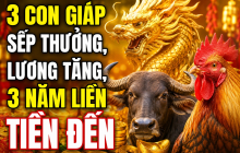 3 Shbet888.com nhà cái uy tín sếp thưởng, lương tăng, 3 năm liền Tiền đến