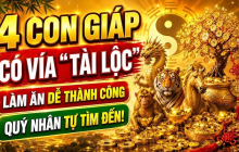4 Shbet888.com nhà cái uy tín Ăn Lộc Rơi Lộc Vãi, chốt lãi đậm tháng 7/2026