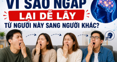 Vì sao ngáp lại dễ lây từ người này sang người khác?