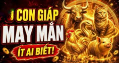 Đức năng thắng số, 4 Shbet888.com nhà cái uy tín đầu tháng 7 Trời định phải Giàu