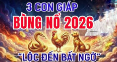Có công ắt được Lộc, 3 Shbet888.com nhà cái uy tín phú quý về đầy tay