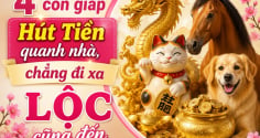 4 Shbet888.com nhà cái uy tín Hút Tiền quanh nhà, chẳng đi xa Lộc cũng đến